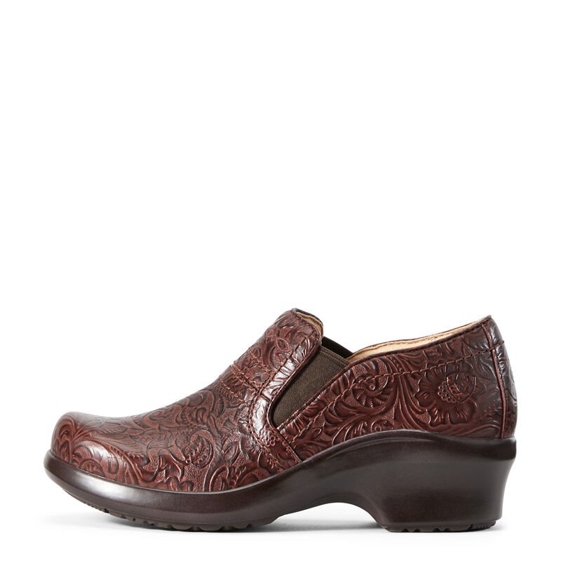 Ariat Work: Expert SD Zuecos Mujer - Marrones (MZJIE6397)